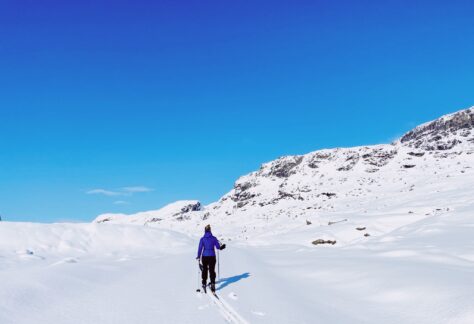 Haukelifjell