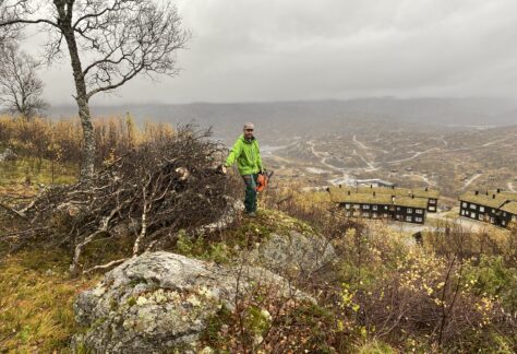 Skogrydding ovenfor åsehallet