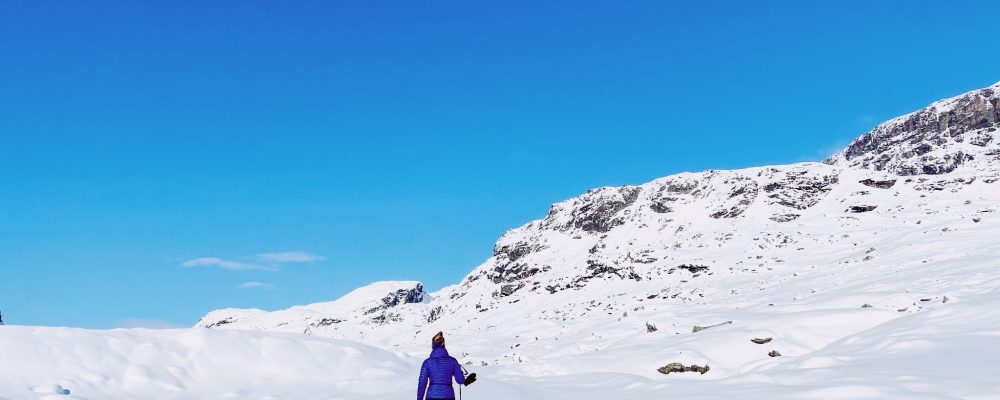 Haukelifjell