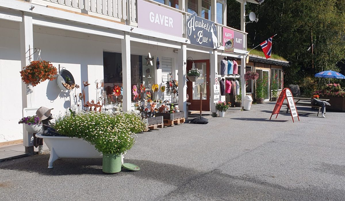Haukelibue sommar