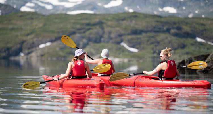 Haukeliseter sommer 2022.