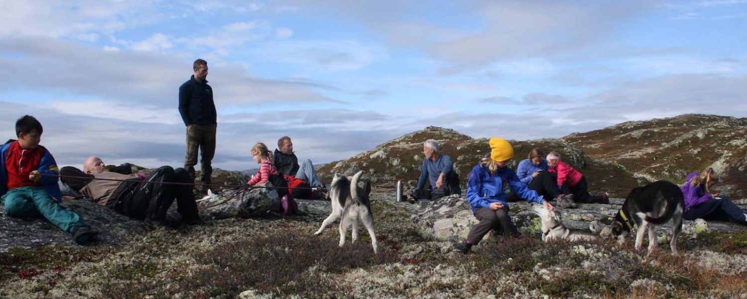 haukelihuskyheader