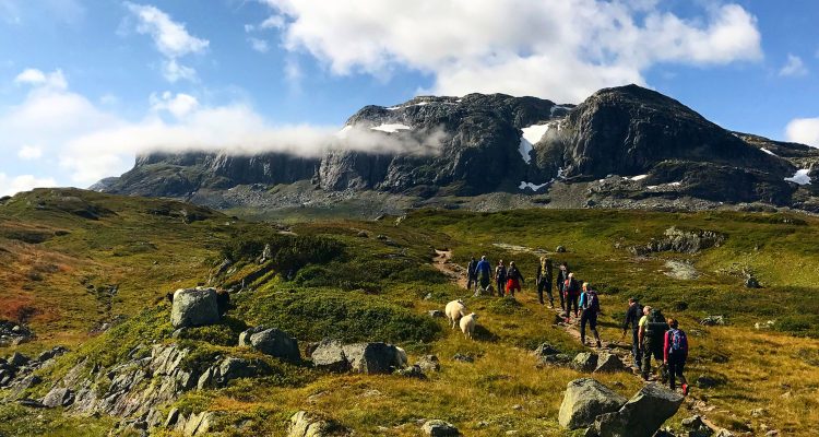 mennesker som går på fjelltur på Haukelifjell