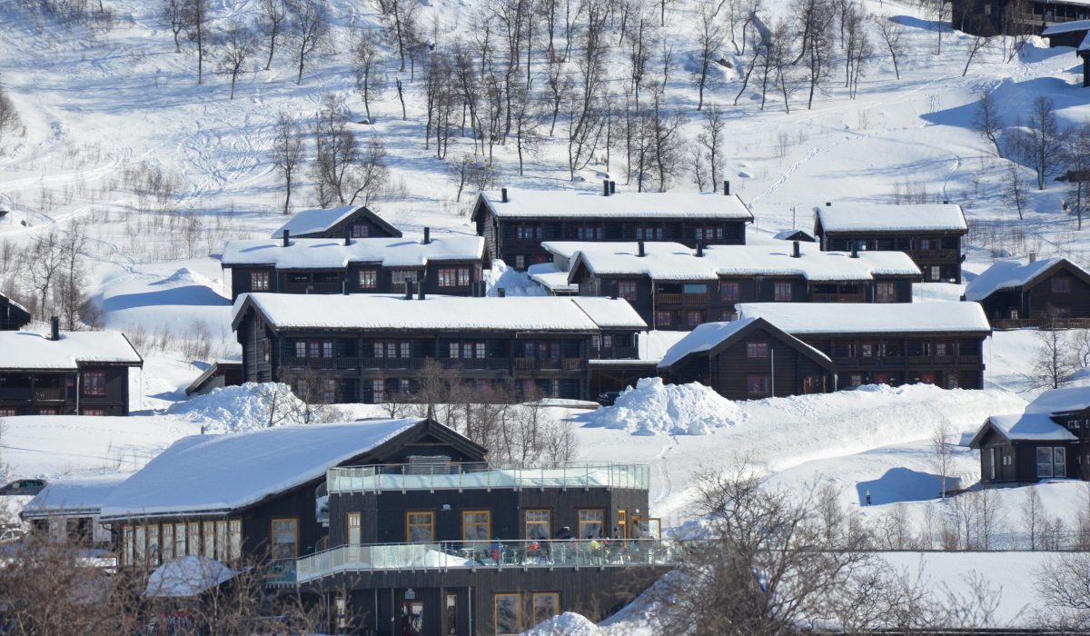 leilighet haukelifjell