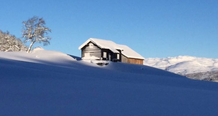 nasaroi-vinter