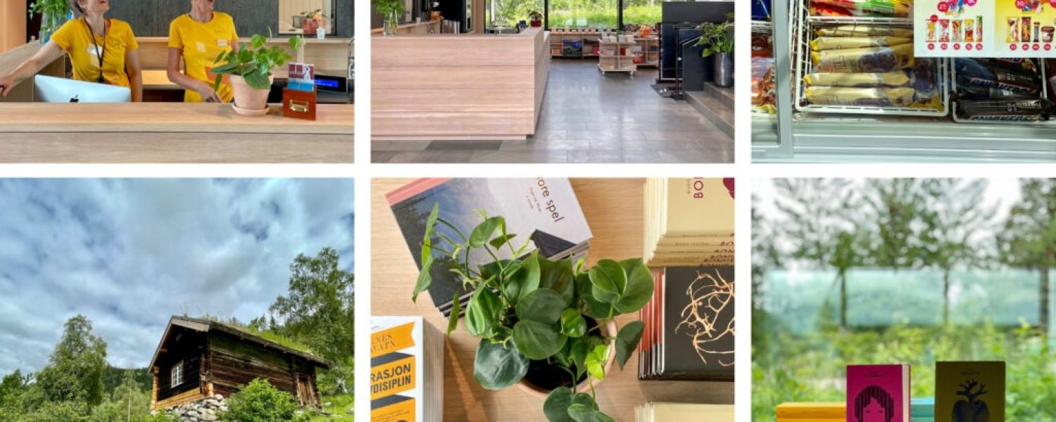 vinjesenteret collage